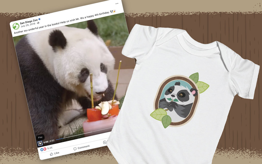 San Diego Zoo Facebook post and inspired Wild in Color Panda onesie